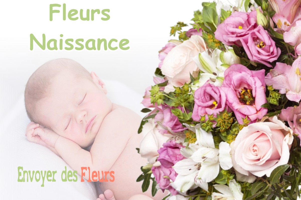 lIVRAISON FLEURS NAISSANCE à PRADERE-LES-BOURGUETS